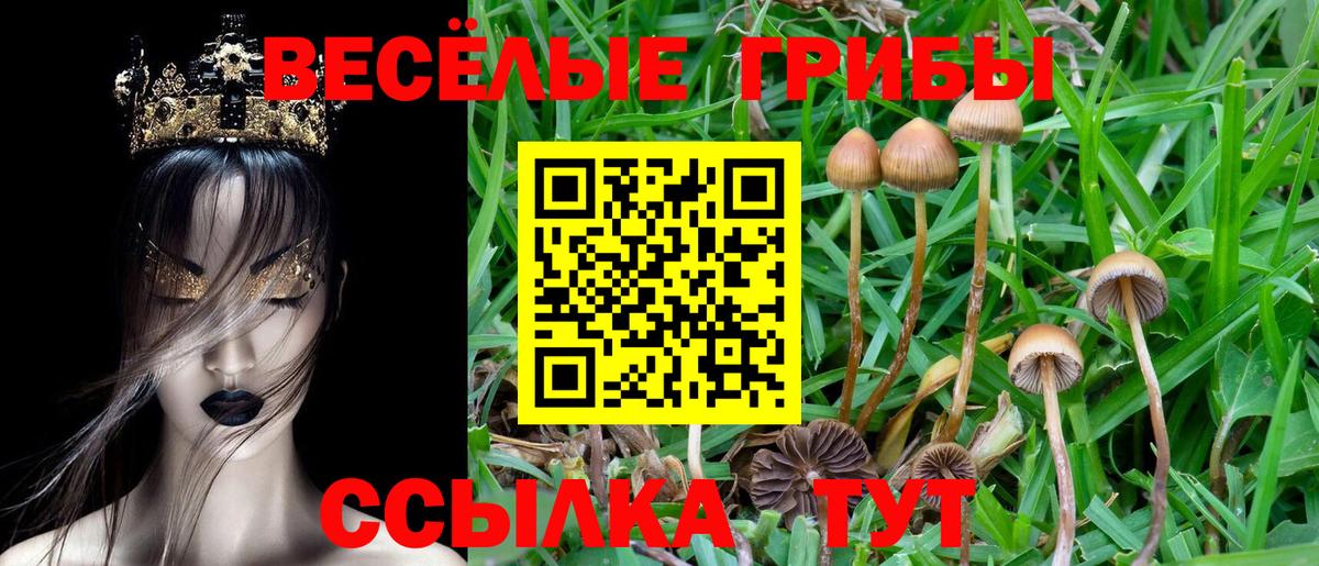 Псилоцибиновые грибы MAGIC MUSHROOMS Рассказово
