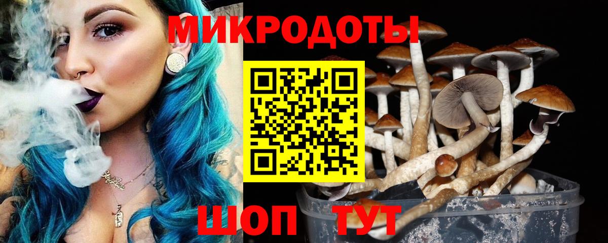 Псилоцибиновые грибы Psilocybe  Вход с VPN  Рассказово  Псилоцибиновые грибы Magic Shrooms 